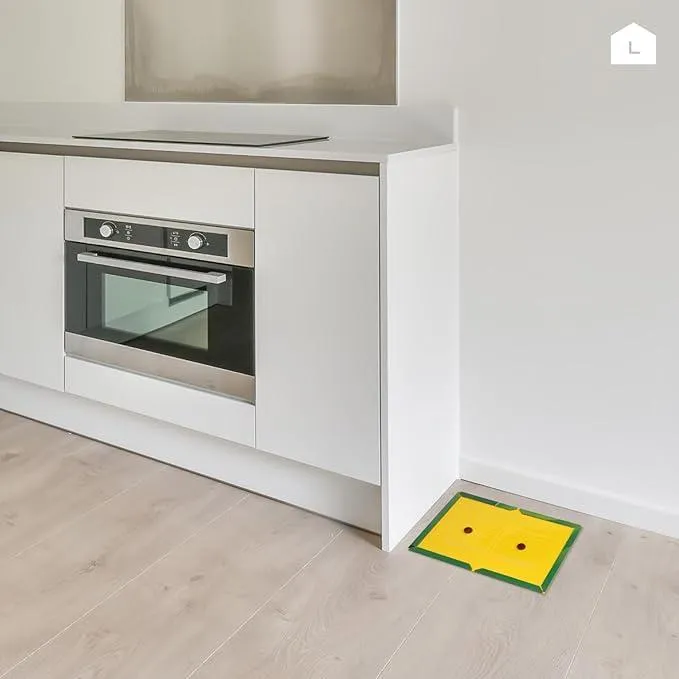 Mouse and Fly Killing Glue - Eco-Friendly